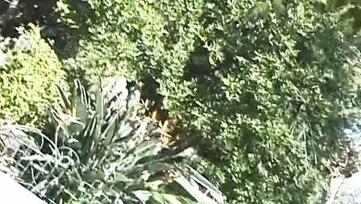 Kendini tatmin eden güzel kadınların ateşli sahneleri