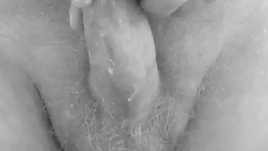 Ses seansı zeppelin 1 taban