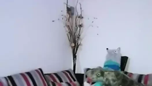 Vp06 - sthephanie venturo 1wds