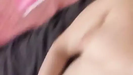 Siyah için itaatkar. horoz