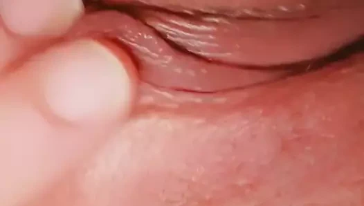 İngiliz Birleşik Krallık eş oynama ile kedi