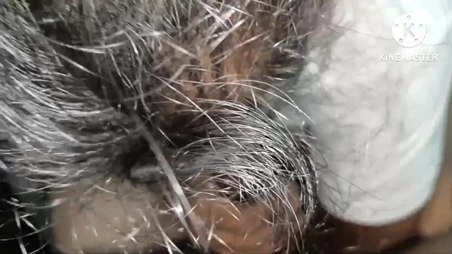 Hintli Telugu partnerleri hor hasbend ile numara yapıyor