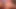 Lexi pornoda yeni olabilir ama sikişme konusunda uzmandır.
