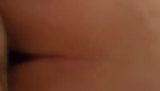 lanet köpek