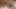 Ateşli travesti Gaby Abelha yarak emme uzmanı olduğunu kanıtlıyor