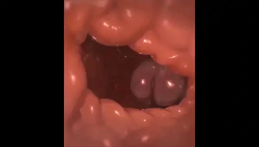 Tasque Manager X Swatchling