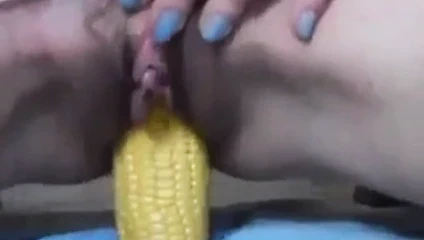 Kız kedi bir mısır koyarak