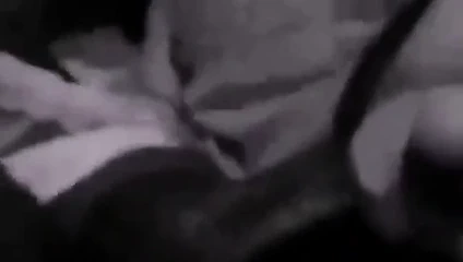 Sürtük büyük zenci yarağını emiyor