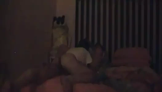 Benim horoz sert arka kapı içinde.