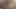 Indian girlfriend suck her boyfriend's dick and give him deep blowjob after that eat the all cum in mouth