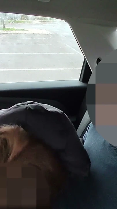 Dick flash - Öğretmen arabada otuzbir çeken öğrenciyi yakaladı ve boşalmama yardım etti - MissCreamy | Clip 2