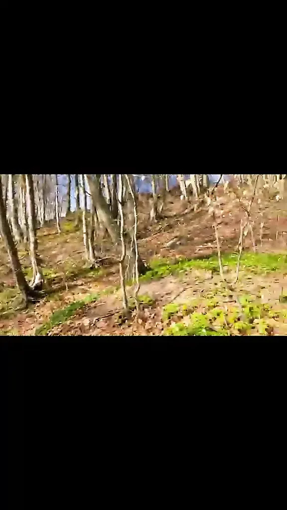 Amatör derleme mastürbasyon