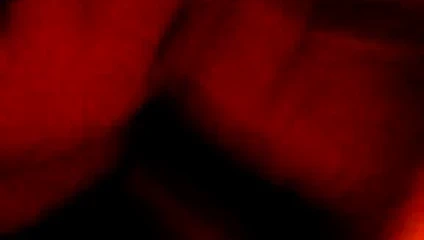 benim karım jennie veren bir oral seks