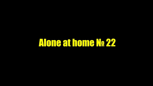 evde yalnız 22