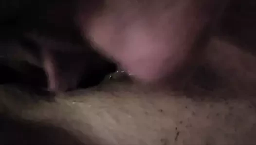 yalama onu küçük ıslak KEDİ