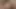 Bazı şaşırtıcı ve harika cumshots (30).