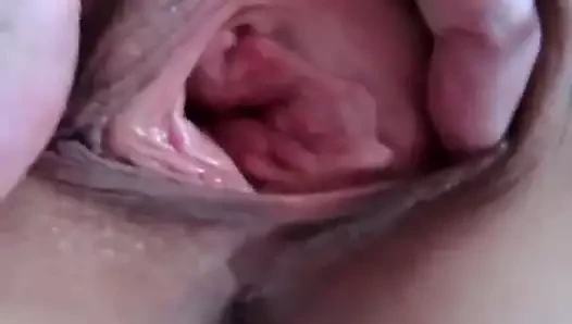 Rus tıraşlı kedi