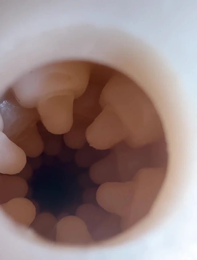 Stoya destroya fleshlight iç veiw ile sikişiyor