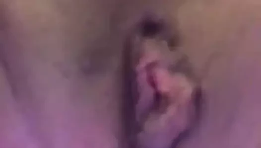 Amcık