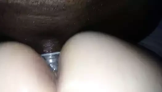 sevgi dolu siyah horoz