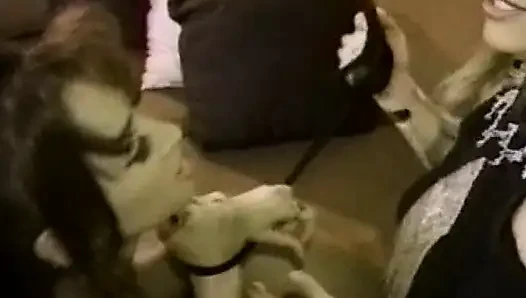 İki süper ateşli kızla klasik azgın lezbiyen seansı