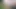 Wir - Handjob im Wald - Sperma auf Nylons