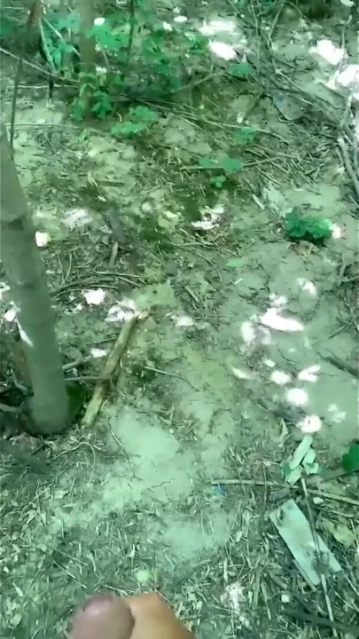 Büyük orman boşalması