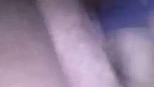 kahverengi civciv 26