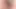 Porno yıldızı kadife gül' pürüzsüz kedi ve eşek lanet