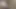 İnce ponpon kız anal yumrukla sikiliyor ve anal sikiliyor