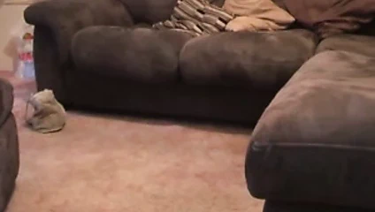 Yuvarlak poposu vurmaya hazır