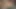 Minyon genç Joseline Kelly Jay'in yarağını sikiyor ve yüzüne büyük bir boşalma!