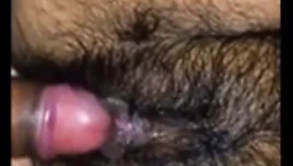 Ben asla böyle kıllı amcık becermedim