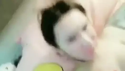 Selfie tranny horoz 15