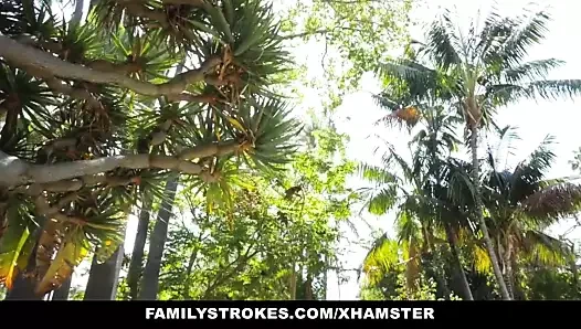 Familystrokes- puslu tip pokemongo için kardeşi darbeler