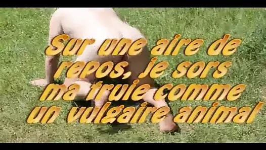 Ma truie prend l'air dans une aire de repos