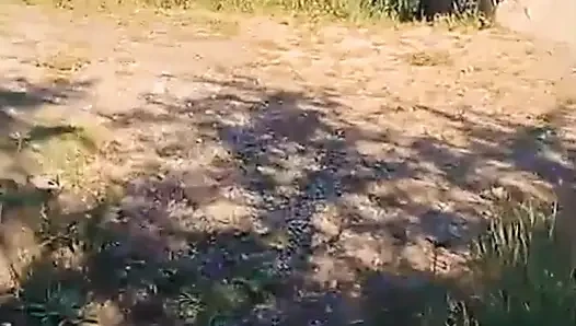 WillyAlexandruPetre videosu