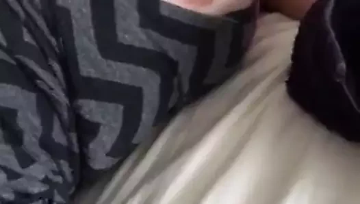 Meme tepe ve güzel kedi