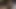Sophia Leone ve Katie Kush'un hafta sonu erkeklerine ihtiyacı yok