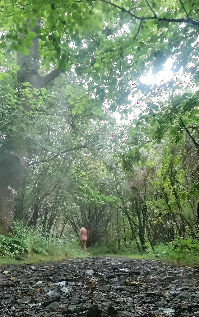 Countrypark çıplaklık (açık havada park / woodland çıplak)