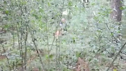 Bir fotoğrafçı ile bir ormanda