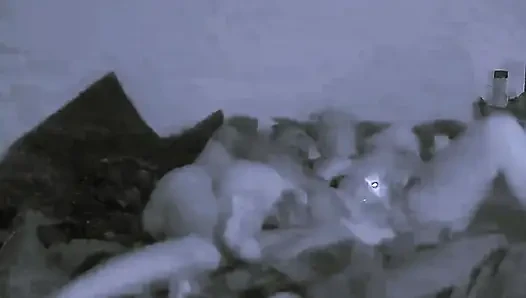 Boşalmam ve onun ateşli dölünü içime hissetmem gerekiyordu.
