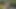 Risky Forest Bath Quickie - Almost Caught Fucking