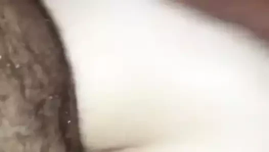 Okşayarak bazı tatlı beyaz kedi tekrar