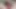 Sevimli genç milf ayakları yalıyor! sapıkça ayak fetişi kırmızı ayak tırnakları ayak parmaklarını emme ve pembe bikinili kedi sürtme! xlilyflowersx
