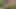 Olgun İspanyol kadın sert sikiliyor