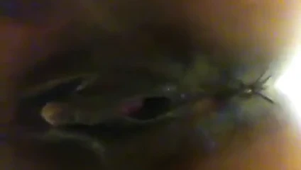 harika kedi görünümü