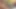 Videolarımızı izliyor ve tıpkı sikiş şeklimiz gibi götünü sikmeyi seviyor