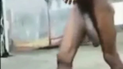 Kamu canavar horoz harika !!!!!