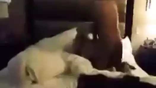 cuckold karısı alma daha fazla horoz